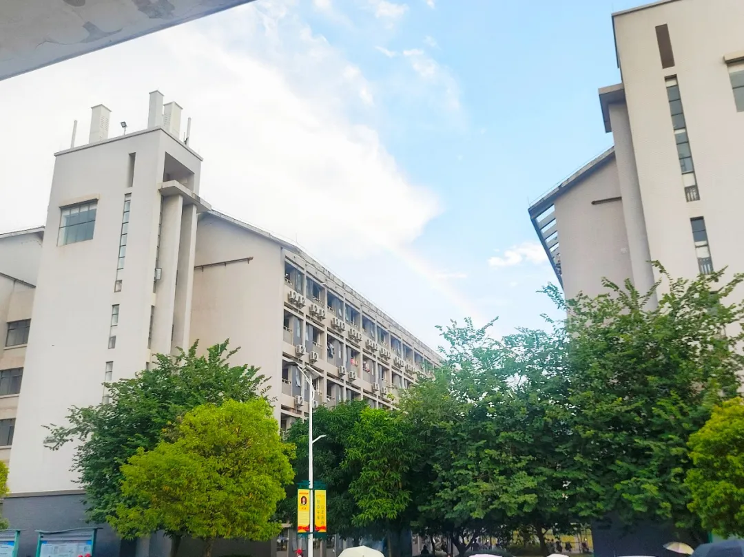 2024年校園文化藝術(shù)節(jié)系列報(bào)道（六）——“與光同行”攝影比賽(圖11)