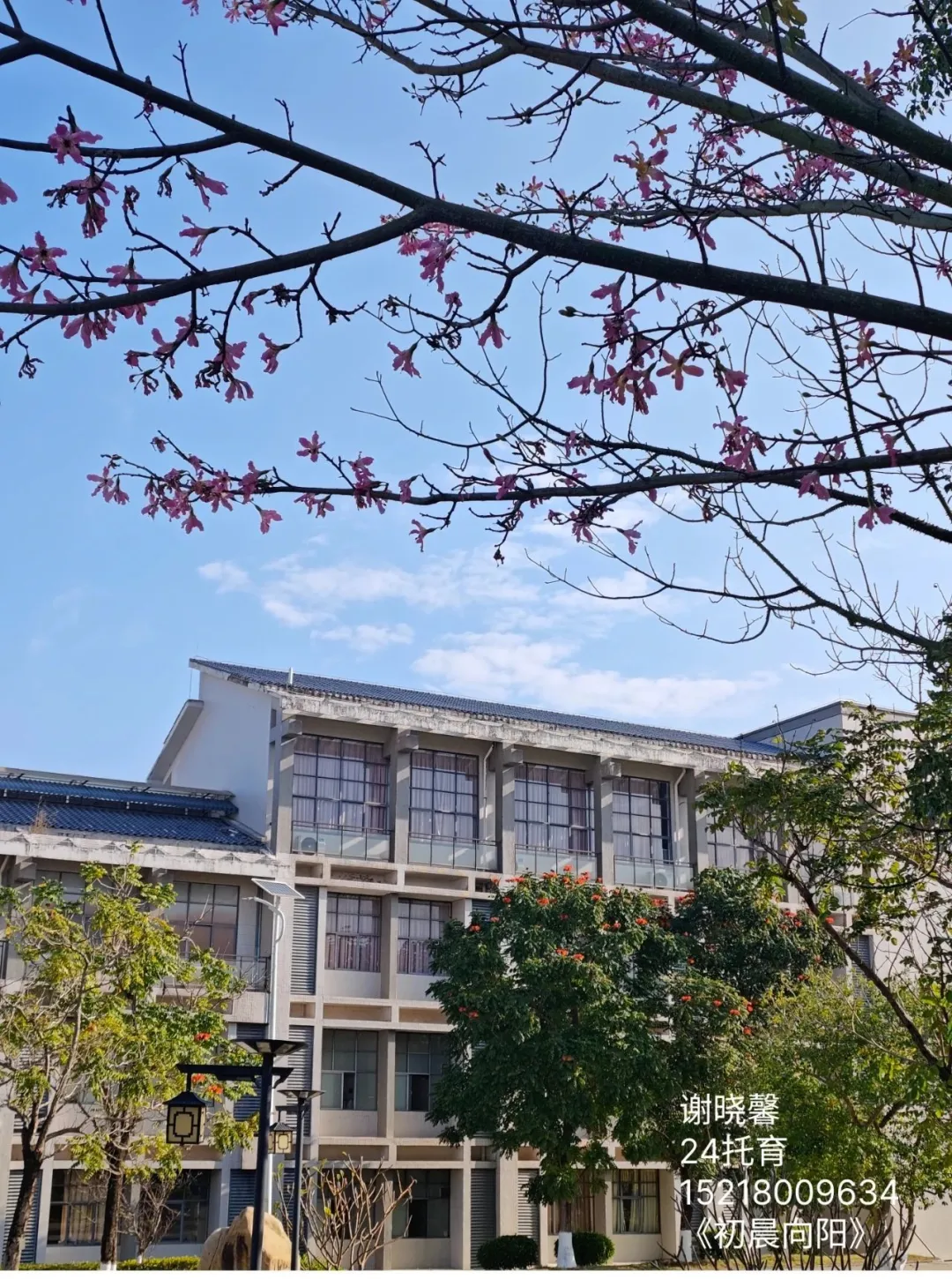 2024年校園文化藝術(shù)節(jié)系列報(bào)道（六）——“與光同行”攝影比賽(圖2)